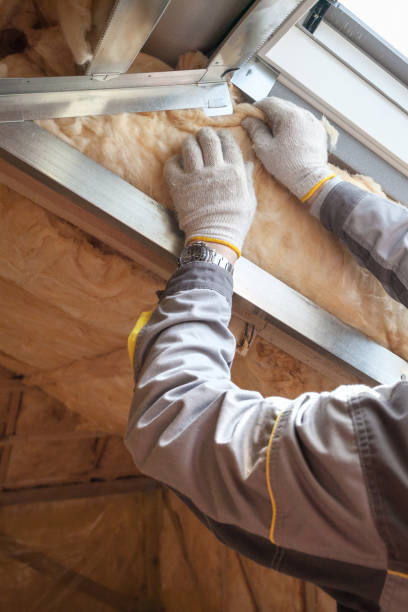 Best Insulation Replacement Services  in Highlandville, MO