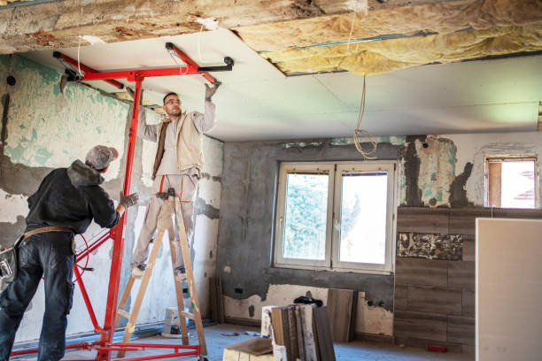 Best Energy-efficient Insulation  in Highlandville, MO